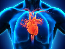 Cabinet Medical de Cardiologie Gorj - Doctor Malaescu Graziella