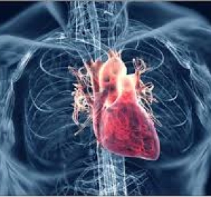 Centrul de diagnostic si tratament