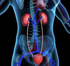 Doctor Istrate Codrut - Cabinet Medical de Urologie Arad