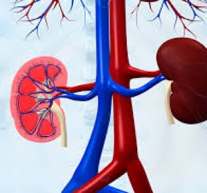 Cabinet Medical de Urologie Bucuresti Sector 6