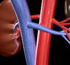 Doctor Iordan Savu Nicolas - Cabinet Medical de Urologie Maramures