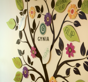 Clinica Gynia