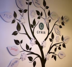 Clinica Gynia