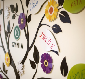 Clinica Gynia